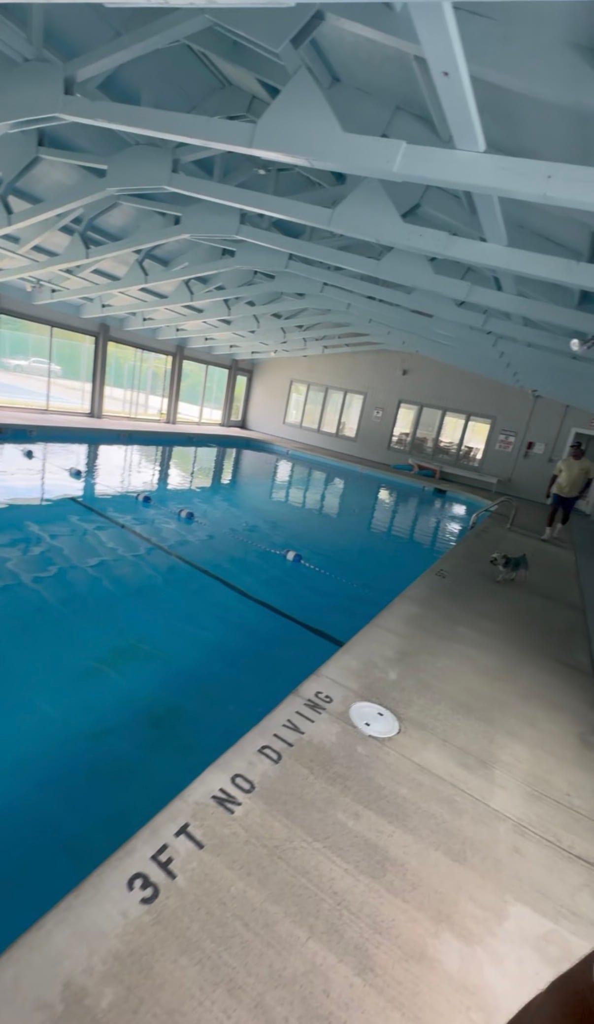 An indoor commercial lap pool with lane markings and a tiled deck, under an exposed steel roof structure