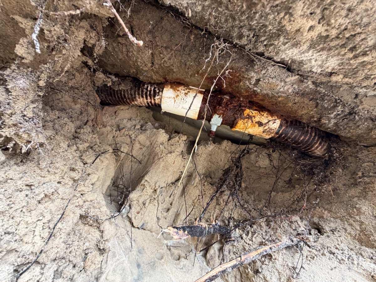 A corroded pipe joint exposed in a narrow sand excavation beneath a concrete slab edge, with heavy rust bloom at the coupling and tree roots around it